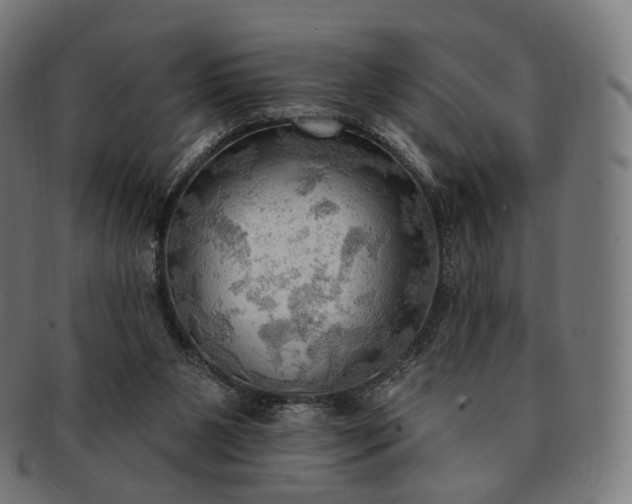 X0000091290111200708241038