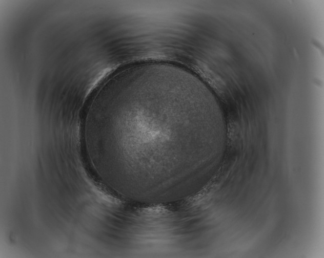 X0000091290112200708241038