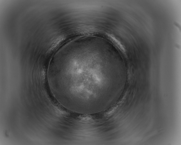 X0000091290113200708241038