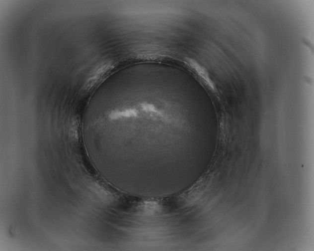 X0000091290114200708241038