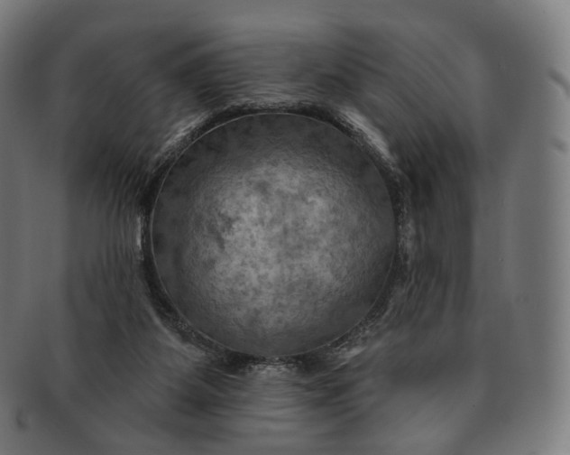 X0000091290115200708241038