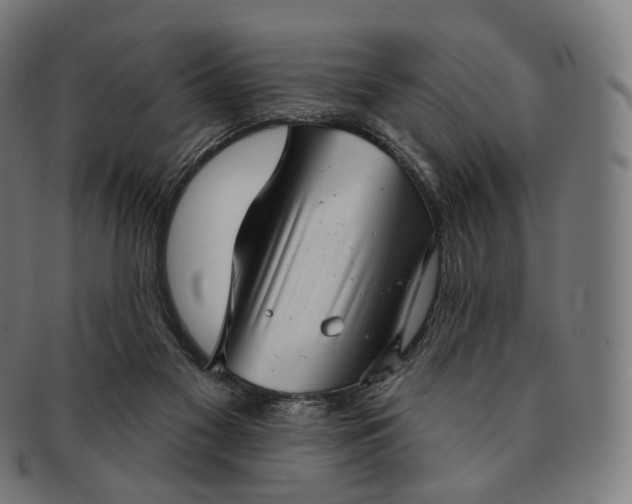 X0000091290117200708241038