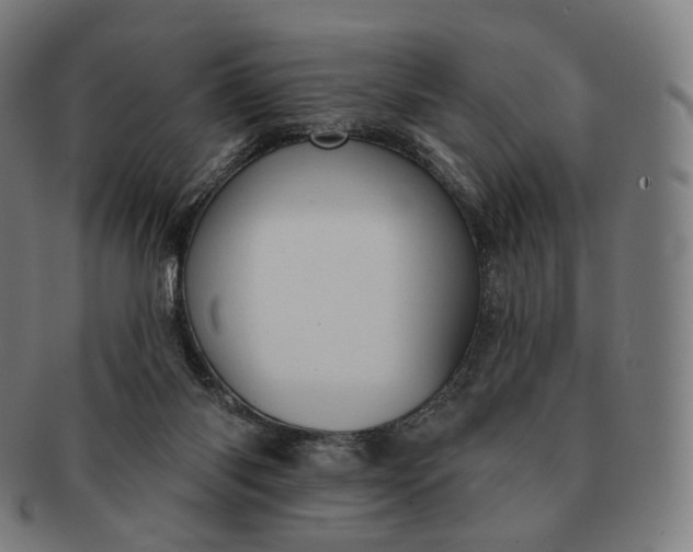 X0000091290118200708241038