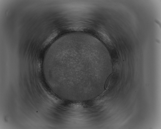 X0000091290120200708241038