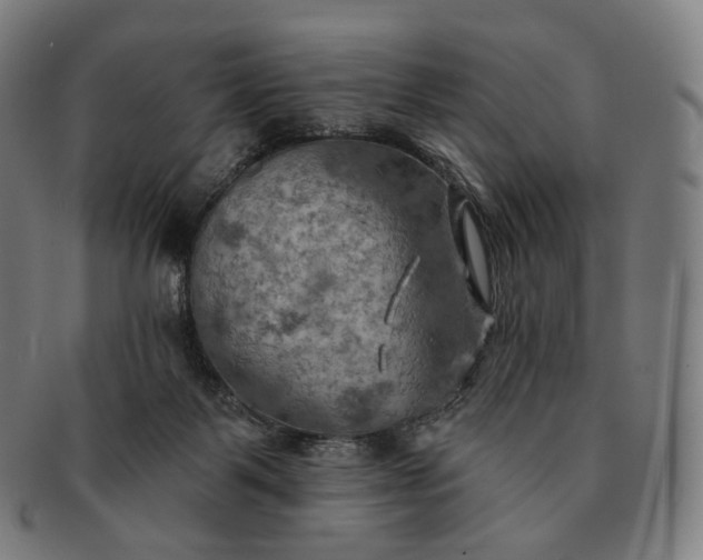 X0000091290123200708241038