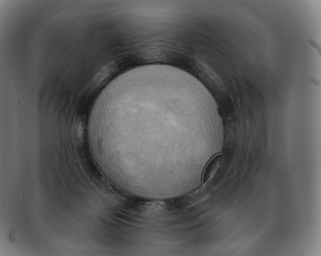 X0000091290124200708241038