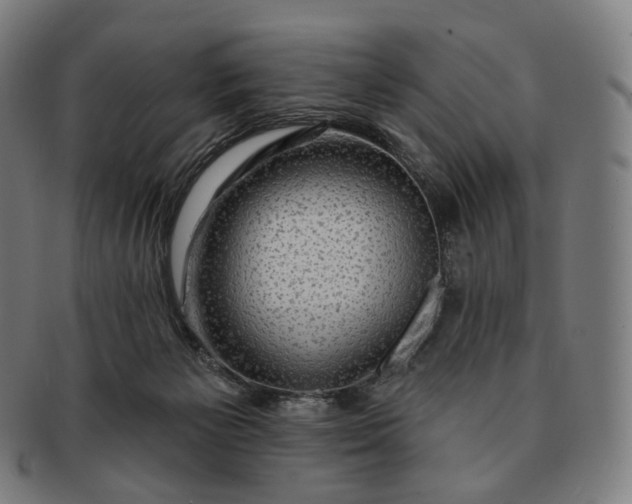 X0000091290125200708241038