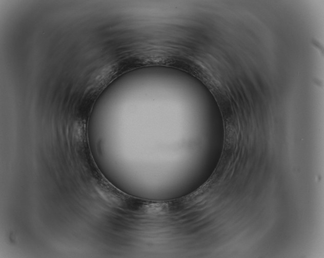 X0000091290126200708241037