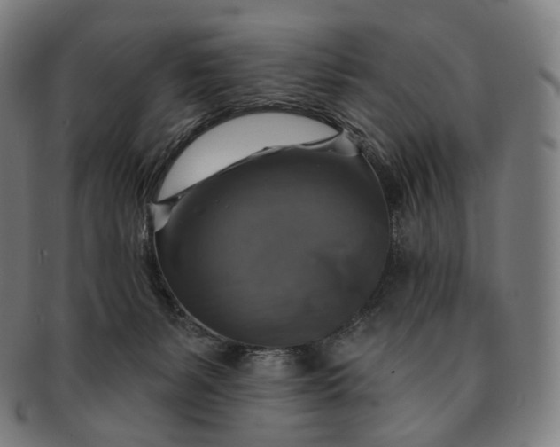 X0000091290127200708241037