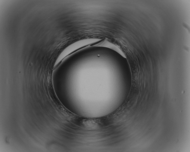 X0000091290129200708241037