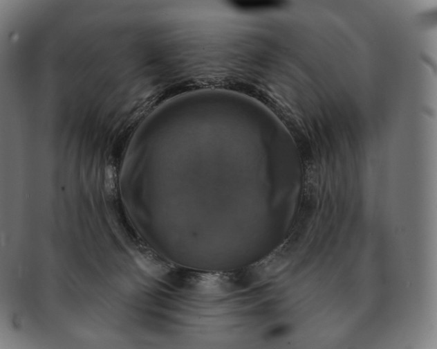 X0000091290130200708241037