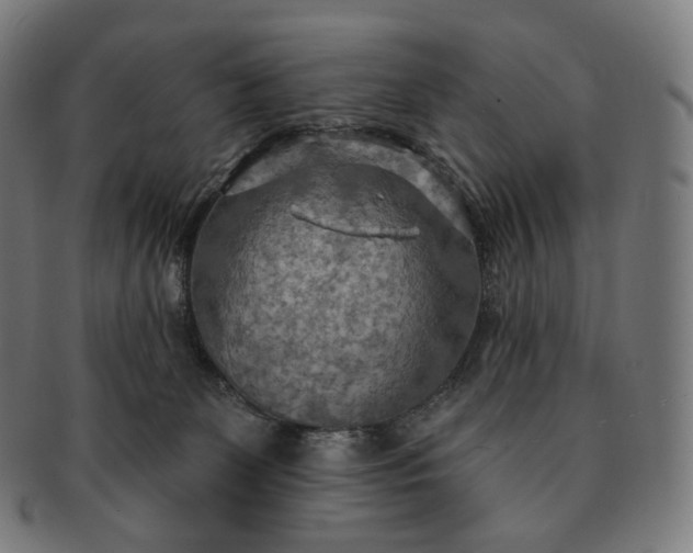 X0000091290131200708241037