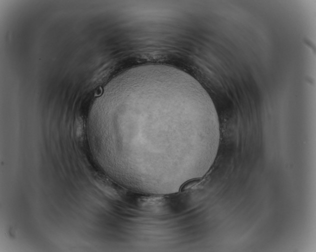 X0000091290132200708241037