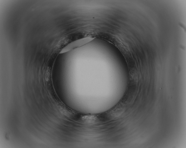 X0000091290133200708241037