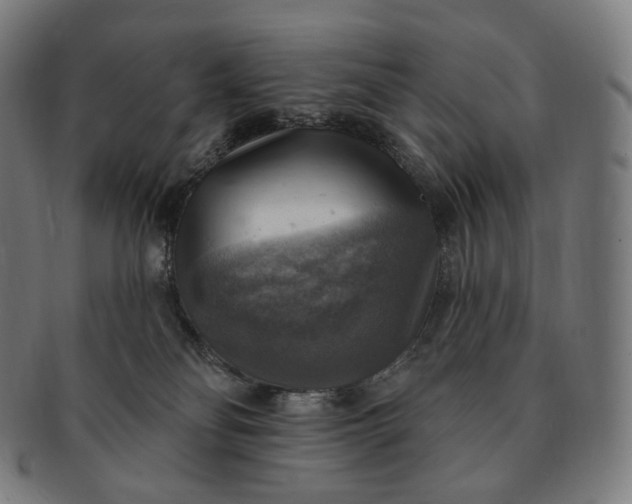 X0000091290134200708241037