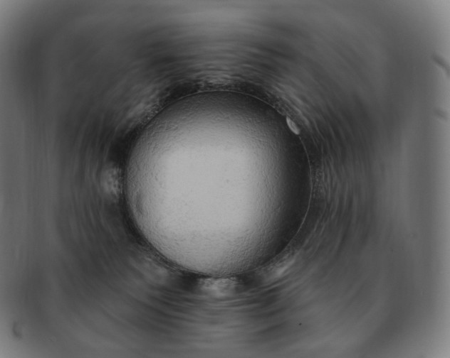 X0000091290135200708241037