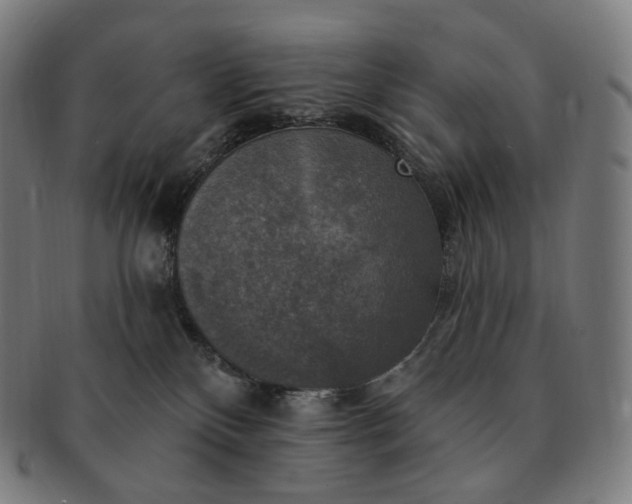 X0000091290136200708241037