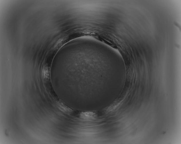 X0000091290137200708241037