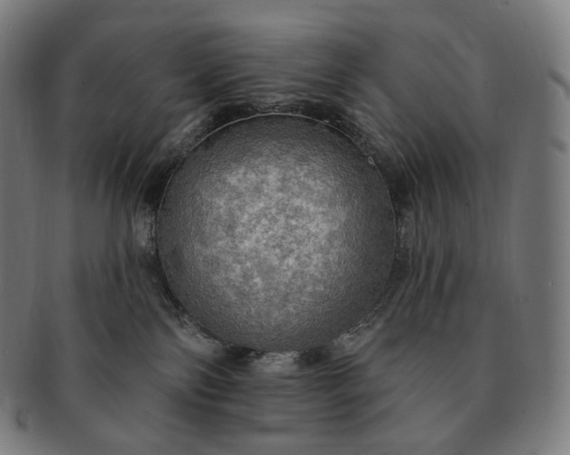 X0000091290138200708241037