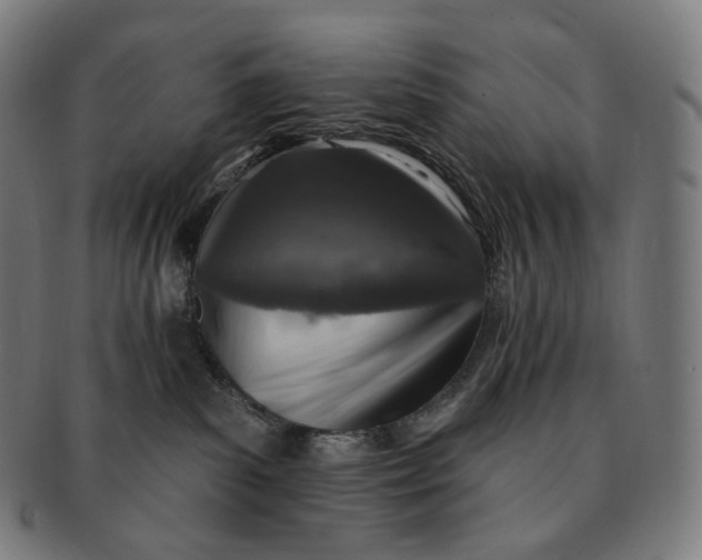 X0000091290139200708241037