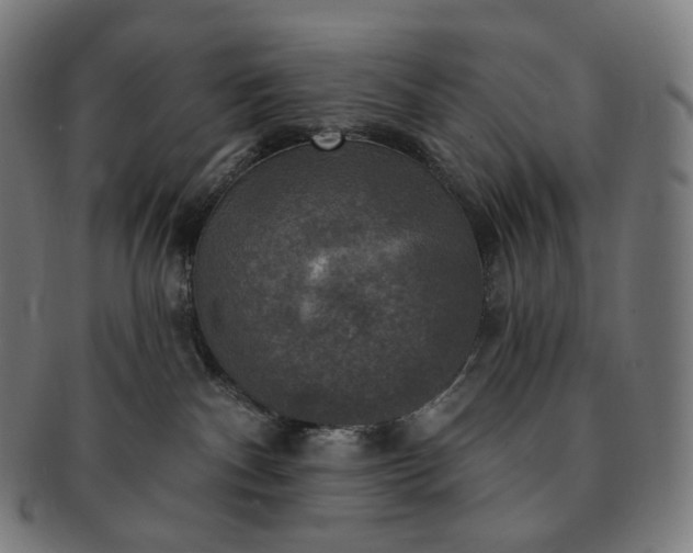 X0000091290140200708241037