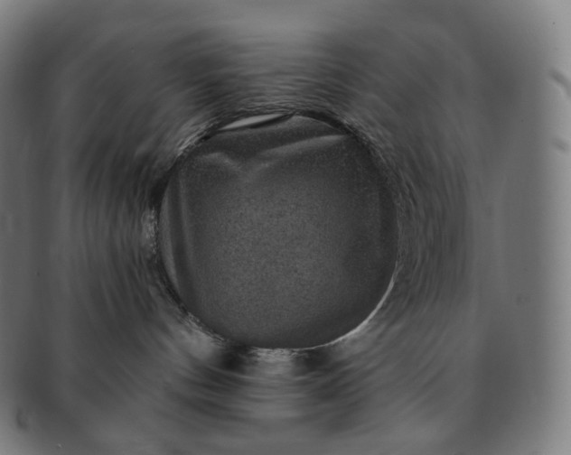 X0000091290144200708241037