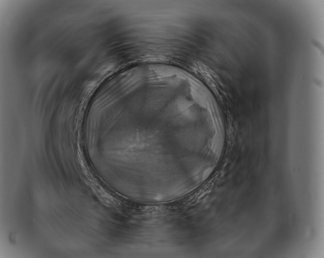 X0000091290145200708241037