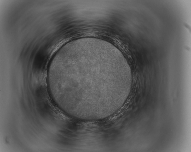 X0000091290146200708241037