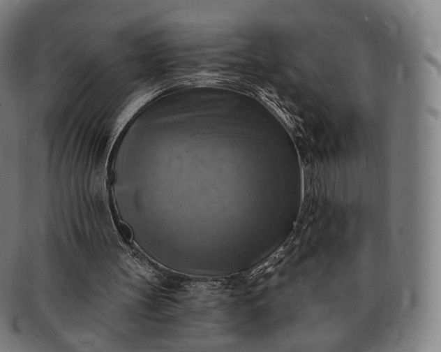 X0000091290147200708241037