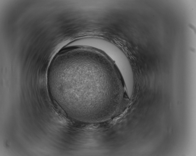 X0000091290148200708241037