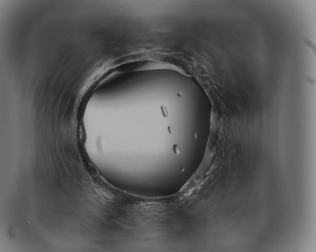 X0000091290150200708241037