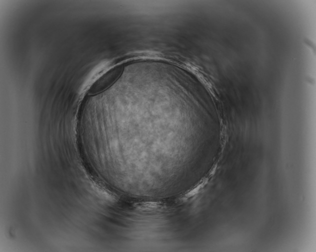 X0000091290151200708241037