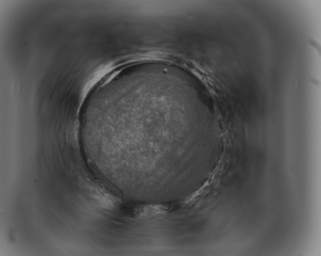 X0000091290152200708241037