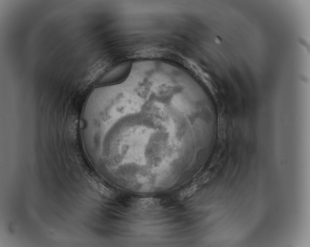 X0000091290153200708241037