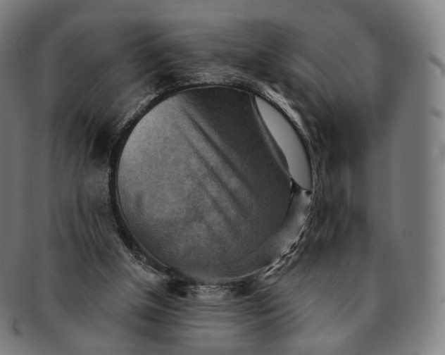 X0000091290154200708241037