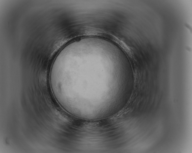 X0000091290155200708241037