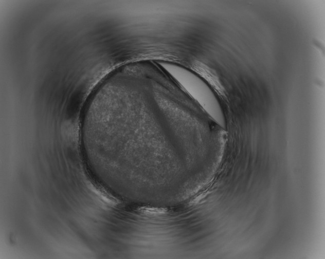 X0000091290156200708241037