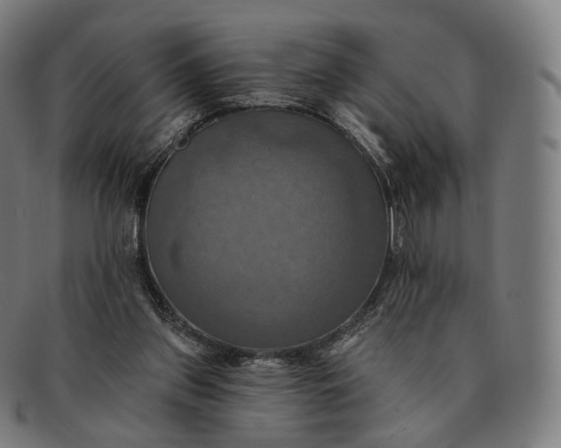 X0000091290157200708241037