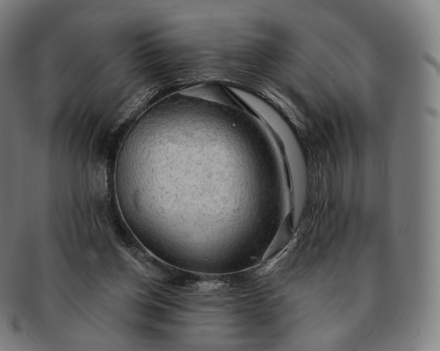 X0000091290158200708241037