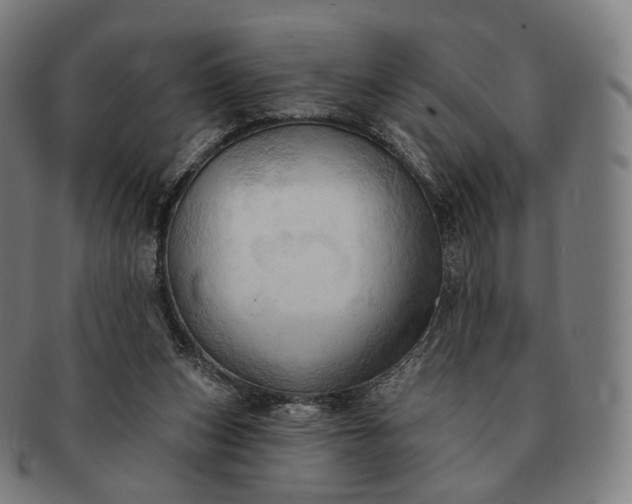 X0000091290159200708241037