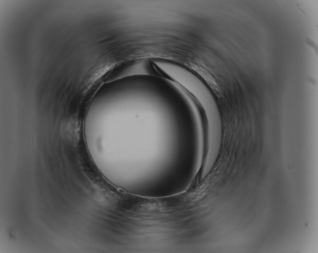 X0000091290160200708241037