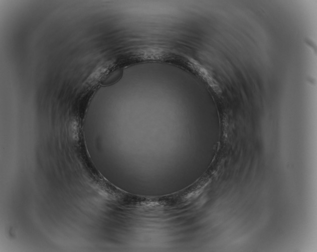 X0000091290161200708241037