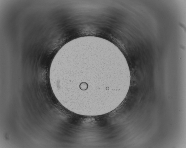 X0000091290162200708241037