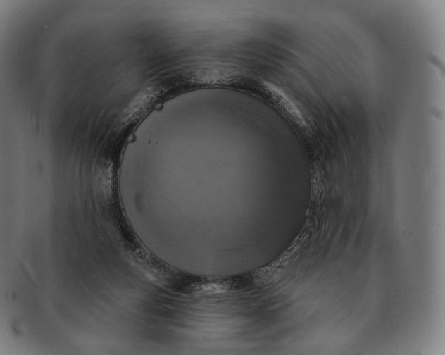 X0000091290163200708241037