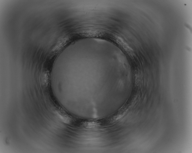 X0000091290165200708241037