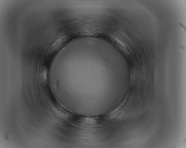 X0000091290166200708241037