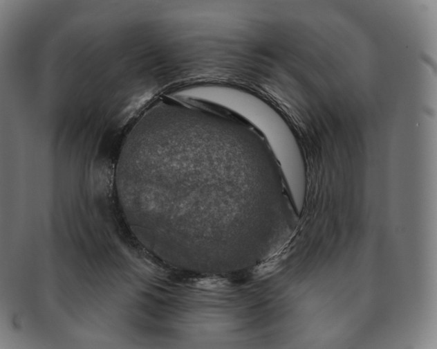 X0000091290168200708241037