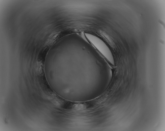 X0000091290169200708241037