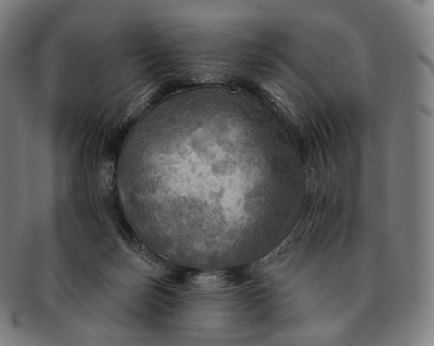 X0000091290171200708241037