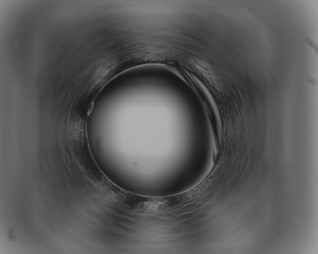 X0000091290172200708241037